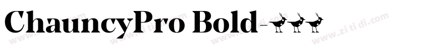 ChauncyPro Bold字体转换